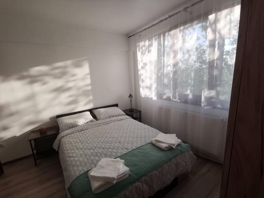 Apartament Gulliver In Centrul Vechi Iasi Exterior photo