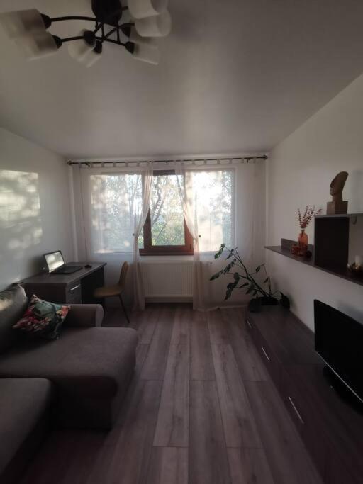 Apartament Gulliver In Centrul Vechi Iasi Exterior photo
